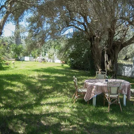 Διαμέρισμα Artemis House-lefkada Λευκάδα